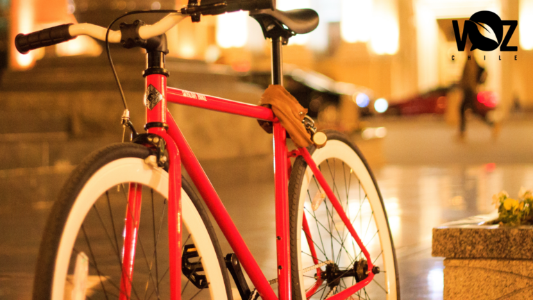 ¡Es el Día de la Bicicleta! ¿Qué modelos de planificación vial debe mirar Chile? Estos son los mejores ejemplos en el mundo